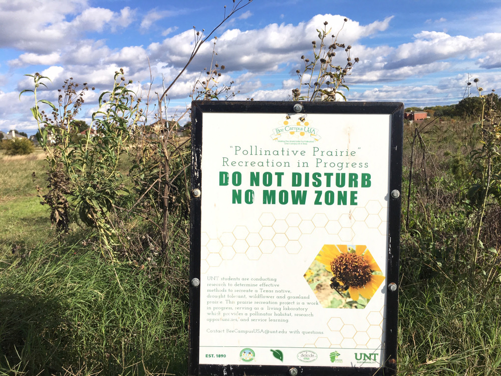 pollinative prairie